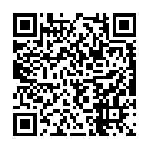 然后通过那十几扇石门来判断对方灵力的调御效果二维码生成