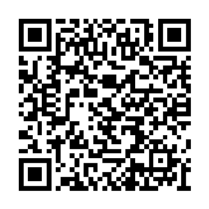 然后那个明显是修道天才的少年说他也是个天才二维码生成