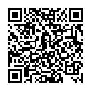 然后那家伙直苦恼没有打开的戒指总算是被他打开了二维码生成