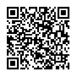 然后那狰狞的手掌与秦方的掌力狠狠的碰撞了一次二维码生成