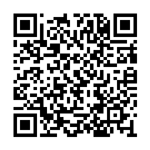 然后郑磊就好像是被我戴了绿帽子一样怒了……二维码生成