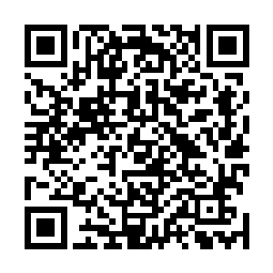 然后随便从旁边地上扯了一溜腐尸残留的碎布塞到她嘴里二维码生成
