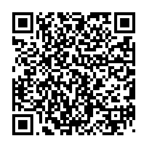 然后随着第二根仙力绳的融入和那明显又壮大了一点儿的紫色光点二维码生成