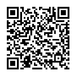 然后雨果那一脸愕然的表情就出现在了大屏幕之上二维码生成