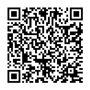 然后露出期待神色抬起头看向昏暗天空中已经发出愤怒吼声的劫云二维码生成