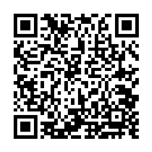 然后飞快的拿出了一份高级治疗兽血塞进口中吞了下去二维码生成