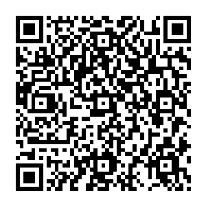 然后高年级的学生就特地抓着金发先天跑去没人的地方脱了裤子看是不是真的只有一个蛋二维码生成