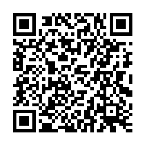 然后鬣狗却看见冲上楼的重火力很快一脸悻悻的从楼上退下来二维码生成