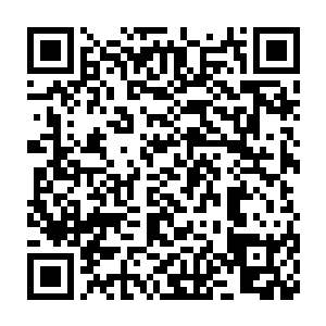 然而……他怎么也找不到与眼前这个人或是这只猫有过交集的回忆二维码生成