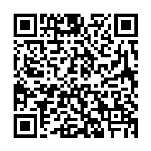 然而不同族类之间通婚……历来有一大弊病横亘其间二维码生成