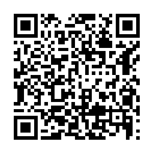 然而不甘寂寞的诸神们为了寻找到第四块命运石板二维码生成