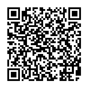 然而两个小家伙本身却是用不到这些的……但对于金鹰他们却是绝佳妙品二维码生成