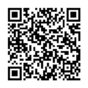 然而两大巅峰先天同时被十几个机械兽围殴致死二维码生成