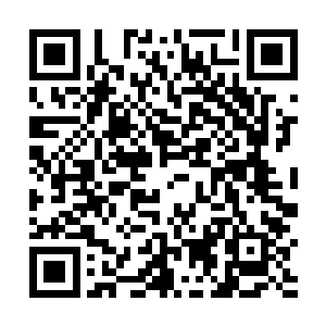 然而他们只能眼睁睁的看着他们一步步突破至天级武者二维码生成