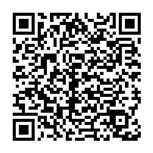 然而他们很快绝望的发现他们逃亡用的飞船智脑系统也被控制住了二维码生成