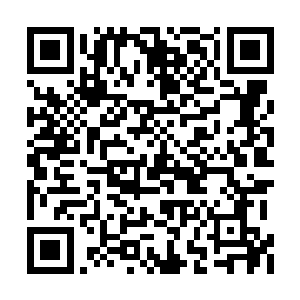 然而他的行为引起了十万大山的顶尖王者的注意二维码生成