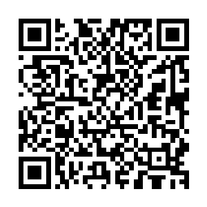 然而伴随着一道道暴戾的元灵之气侵入到眼前中年的身体之内二维码生成