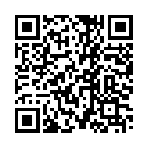 然而你之真意却并非为了让人看美景二维码生成