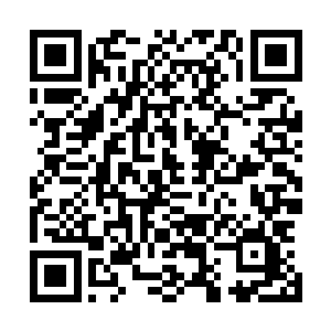 然而其前身却是盘踞在钢铁之城北方山谷里的一群山贼团伙二维码生成