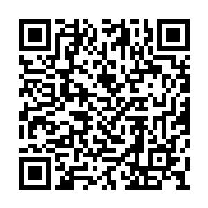 然而削铁如泥的混沌铁很快将它的枝桠尽数轰碎二维码生成