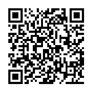 然而前世很多饰演练霓裳的女演员他怀疑根本没看过原著小说二维码生成