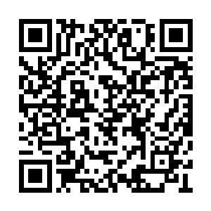 然而千夜并未如卫老所想那样惊慌或是绝望反扑二维码生成