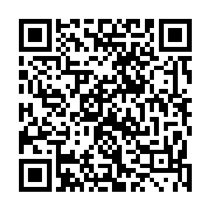 然而即便是一般人家的不知道要忌讳于芩木和末叶的作用二维码生成