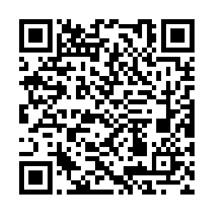 然而却在第一眼就看到了被人群挤出来的慕容仙儿二维码生成