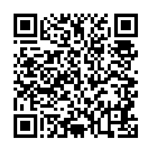 然而却是让已经察觉到不妙的仙人们均是神色大变的起身二维码生成