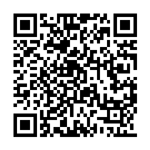 然而却有一道道神秘的纹路出现在徐成的血脉中二维码生成