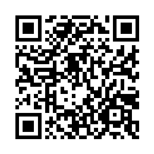 然而叶秋和叶凡这一边各剩下一个影分身二维码生成