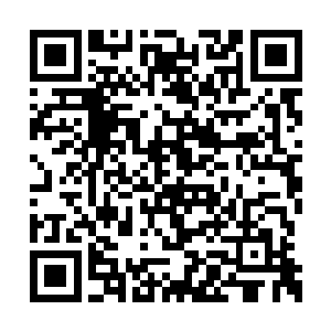 然而叶秋的影分身还是满头大汗地蹲在地上喘气二维码生成