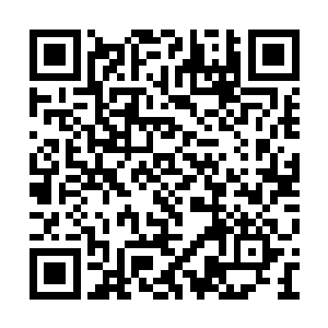 然而在东方未然脚下的东方天纵并没有任何屈服二维码生成