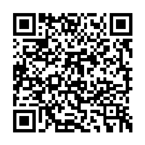 然而基本模样却是和他们之前吃过的虫一模一样二维码生成