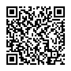 然而夜影的身影也在同一时刻出现在了能量波动的面前二维码生成