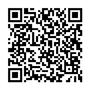 然而奔雷大帝的手掌依旧稳固地插在我的身体中二维码生成