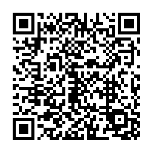 然而女娲此刻显然是打着宁可牺牲补天石这一至宝也要除掉楚旬的主意二维码生成