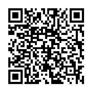 然而她那仍然有一丝稚气的脸蛋上并没有什么杀气二维码生成