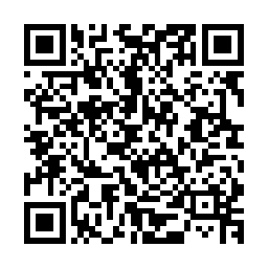 然而她那在外界足以毁灭一方天宇的强大攻击打在水侍卫身上二维码生成