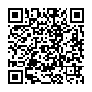 然而如果真的不可信……她又怎么来到这个世界的二维码生成