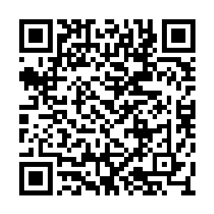 然而将血附子放入到了轮回筒当中一天一夜之后二维码生成