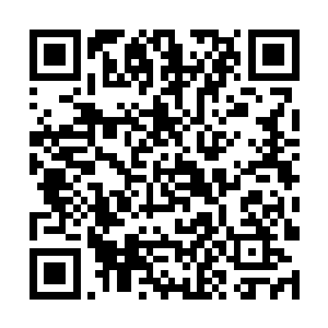 然而小妖还是在这股气息的冲击之下吐血昏迷了过去二维码生成