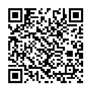 然而就在所有人以为价格就将会止步于五十五万时二维码生成
