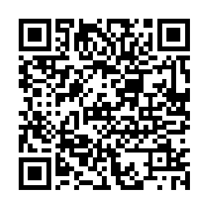 然而就在楚旬等人因为女娲的话而惊疑不定的时候二维码生成