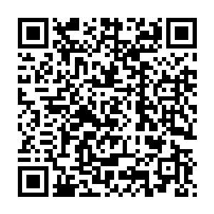 然而就当他们心情坠落谷底的时刻又一下子因为秦宇的话给提了上来二维码生成