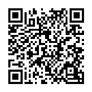 然而就当赵紫薇试图重新在灾民中建立秩序的时候二维码生成