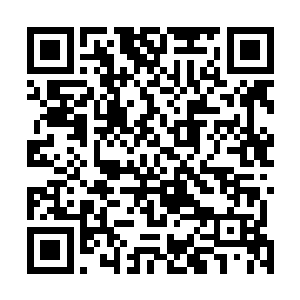然而就是小九这一句话却是让得秦宇脸上的思索之色消失二维码生成