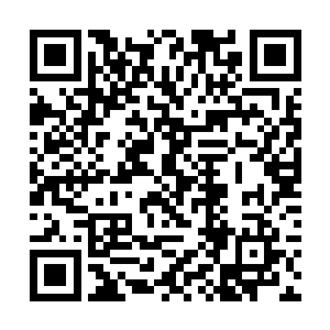 然而庞大的血卫大军却如海洋般将他的战傀淹没其中二维码生成