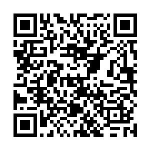 然而当超体文明和元始文明措手不及的第一次相遇之后二维码生成