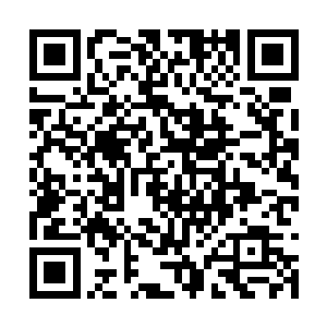 然而所有人望向白凹凸的目光都充满了敬佩和畏惧二维码生成